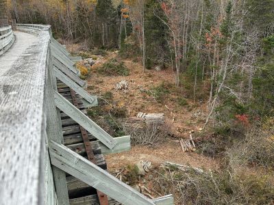 view of cleared wooded area around a bridge abutment