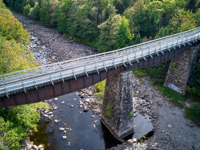 aerial view of Gold River Trail Bridge